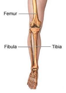 Shin Pain & Shin Splints - Foot & Leg Centre