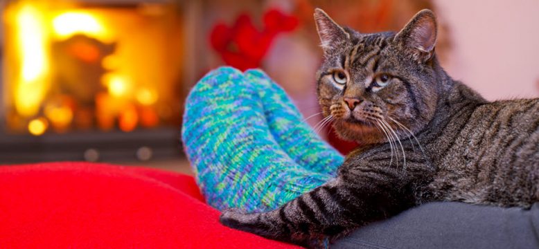 Keeping your feet warm by the fire