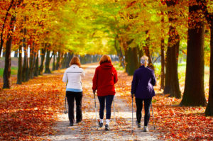 Walking with poles in autum leaves